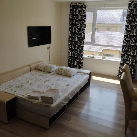 Apartment Garsoniera Iulian *