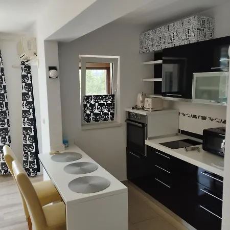 Apartment Garsoniera Iulian *